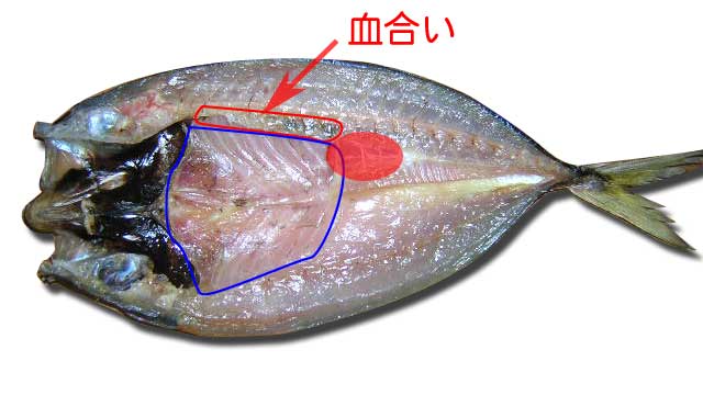 アジの干物 魚料理レシピデータベース