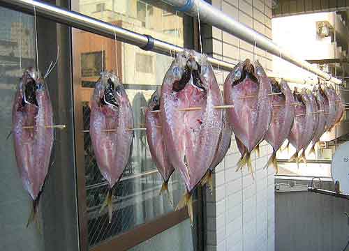 アジの干物 魚料理レシピデータベース
