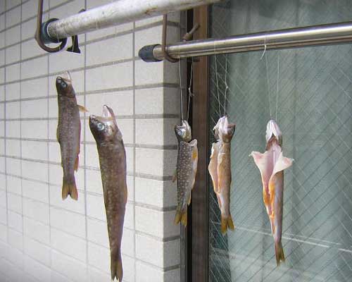 イワナの燻製 魚料理レシピデータベース