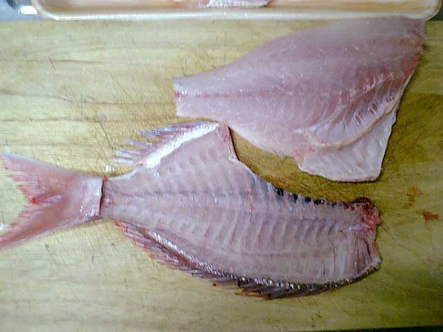鯛の三枚おろしの仕方 魚料理レシピデータベース