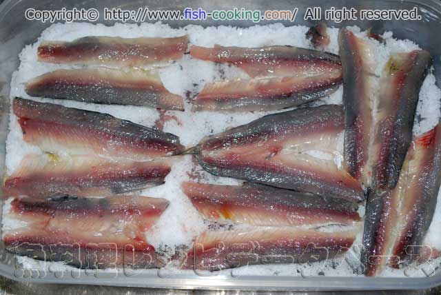 本格的な自家製アンチョビの作り方 魚料理レシピデータベース